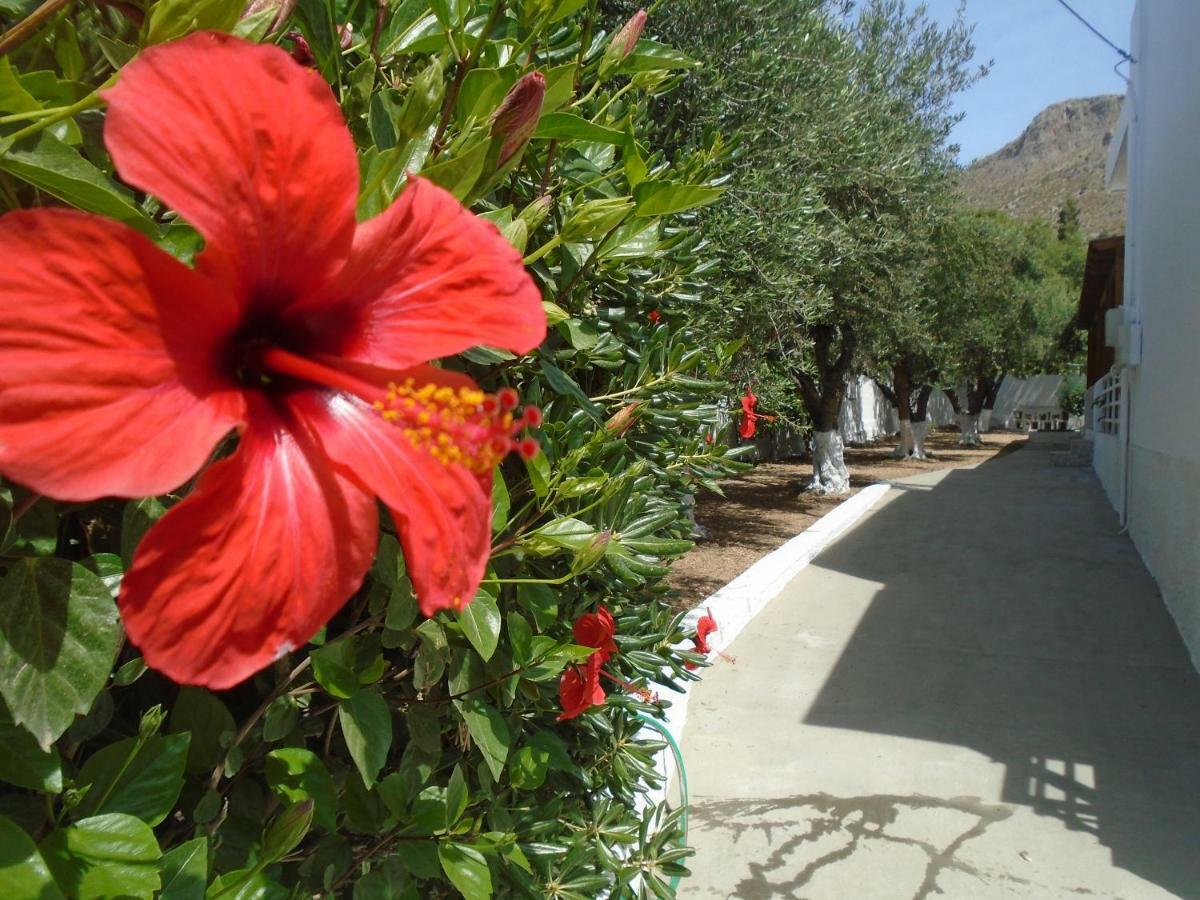 Leros Eleonas Appartement